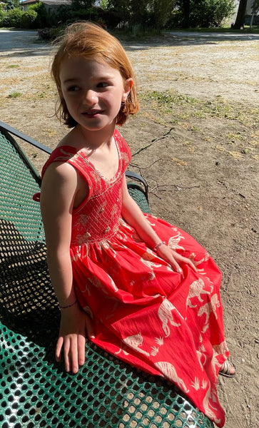 Robe smocks "Tigre" Chasuble avec motifs Tigres